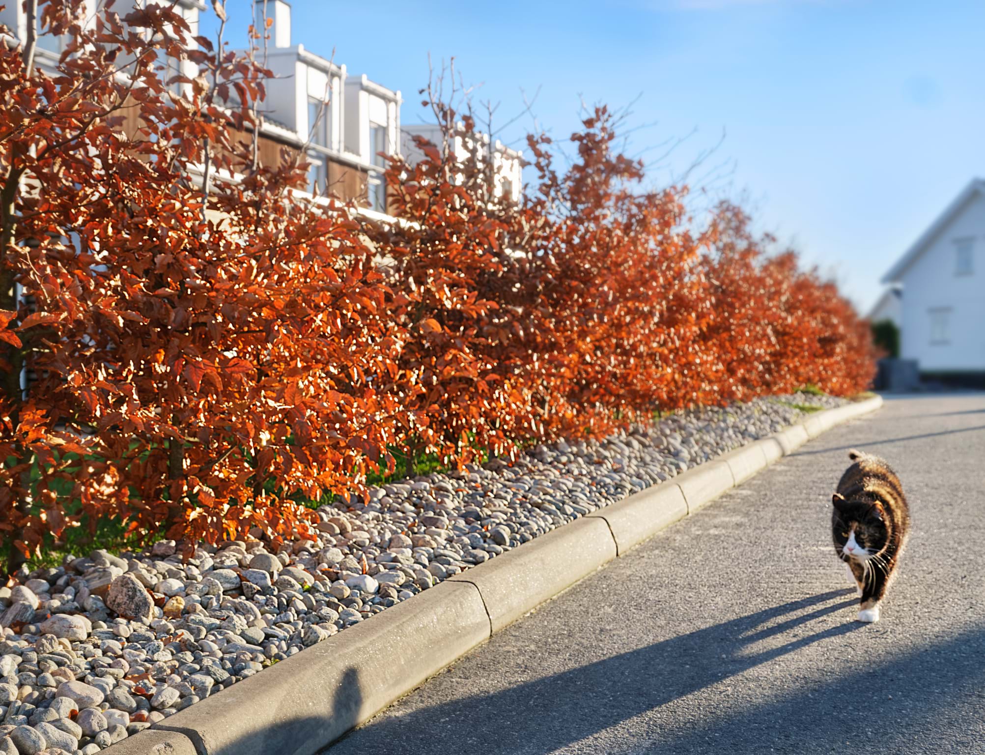 Naturstein setter et ekstra preg på utemiljøet.